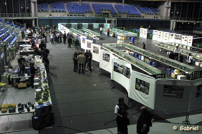 Congrès AFC 2009, le dimanche