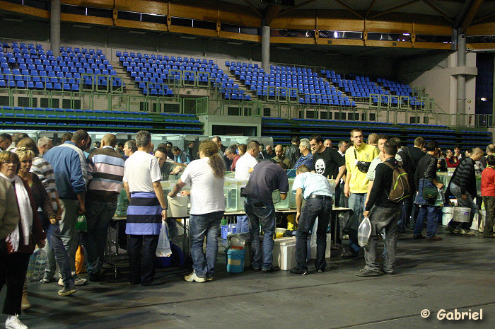 Congrès AFC 2009, le dimanche