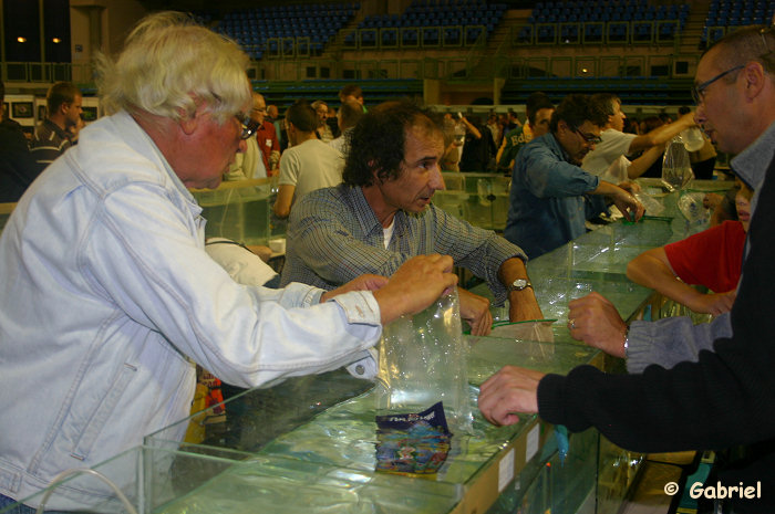 Congrès AFC 2009, le dimanche