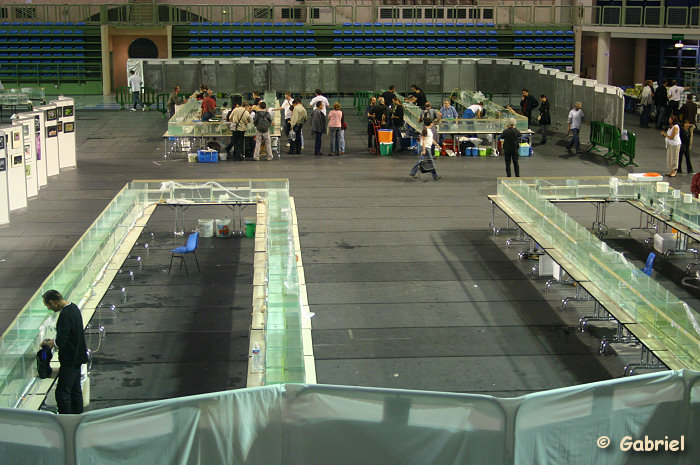 Congrès AFC 2009, le dimanche