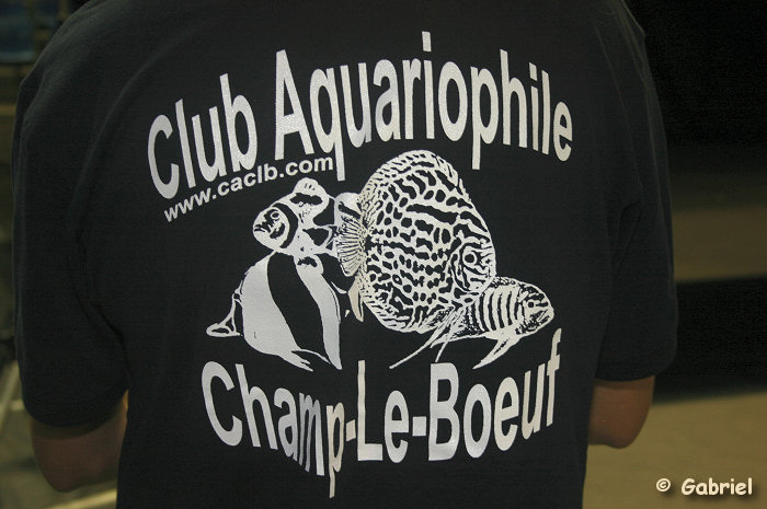 Club Aquariophile de Champs-le-Boeuf