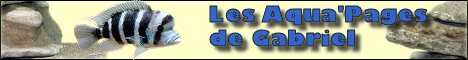 Les Aqua'Pages de Gabriel
