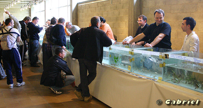 Bourse du congres 2010 à Arlon
