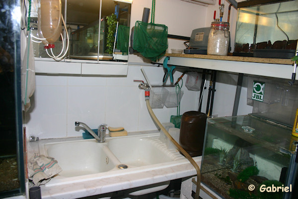 Point d'eau de la fishroom