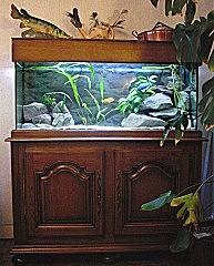 Mon ancien aquarium de 240 litre et son support