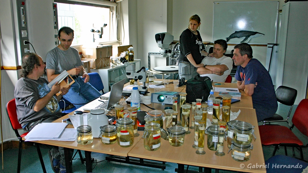 Un stage studieux et convivial