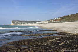 La plage, la ville et la côte de la vierge