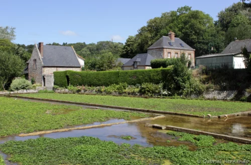 Cressonnières