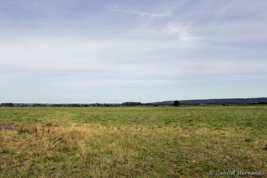 Paysage du marais Vernier