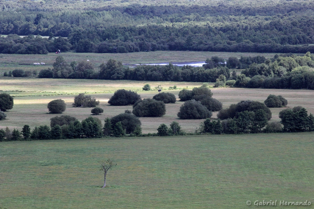 Panorama sur le Marais Vernier