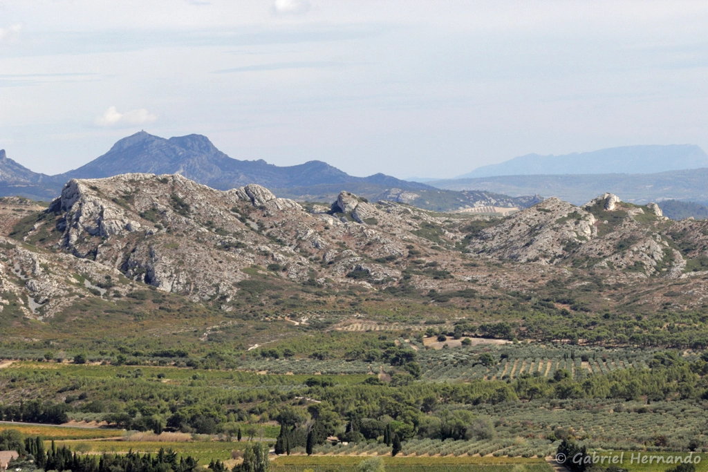 Vue sur les Alpilles