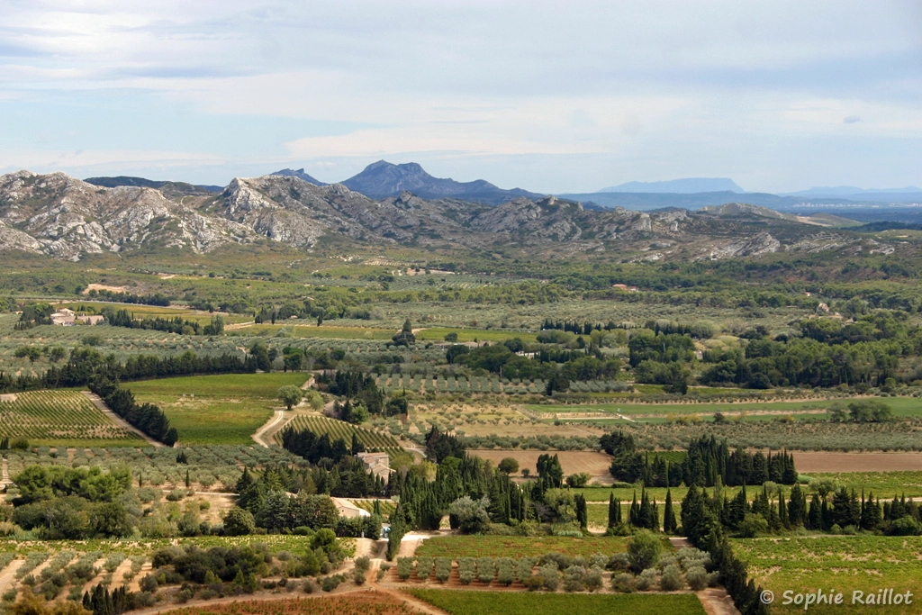 Panorama en direction des Alpilles