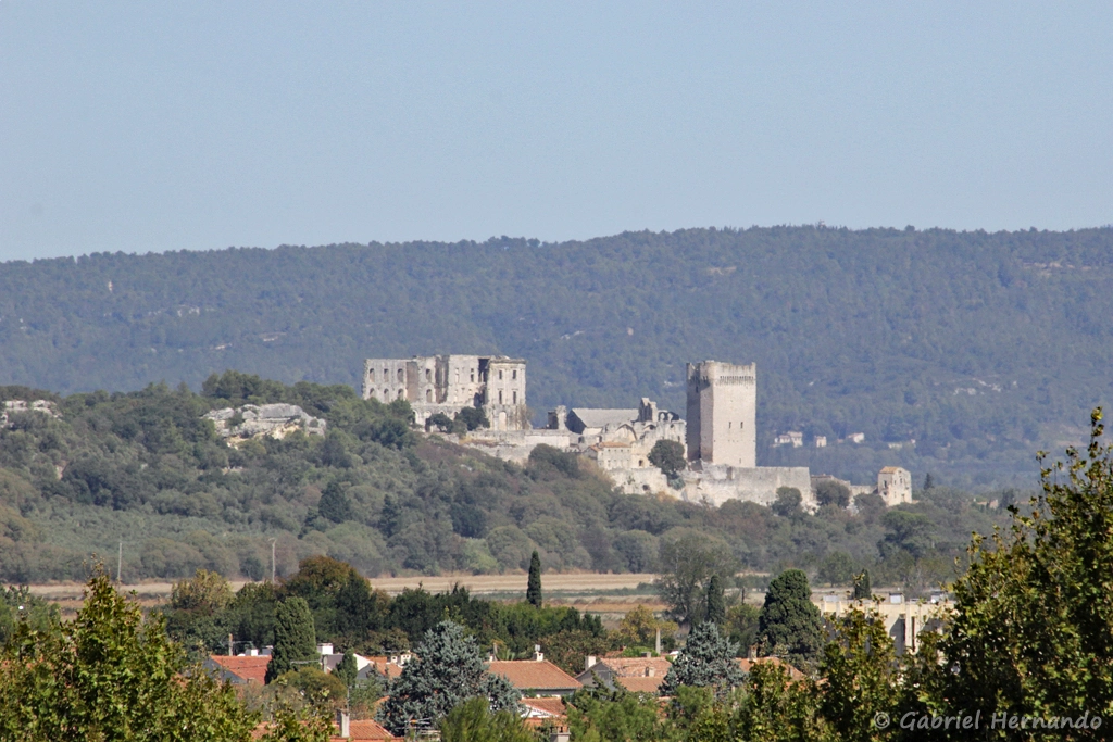 Abbaye de Montmajour