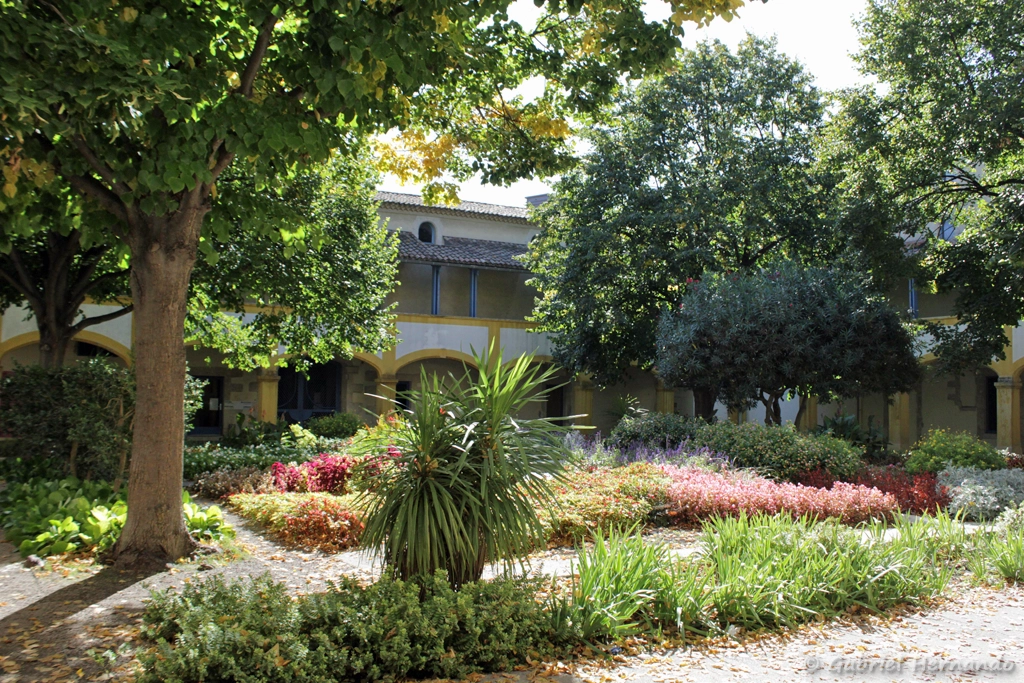 Espace Van Gogh, ancien hôtel-Dieu