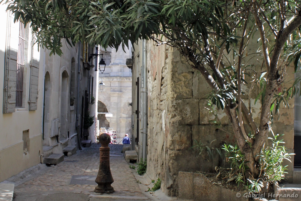 Rue des Arènes