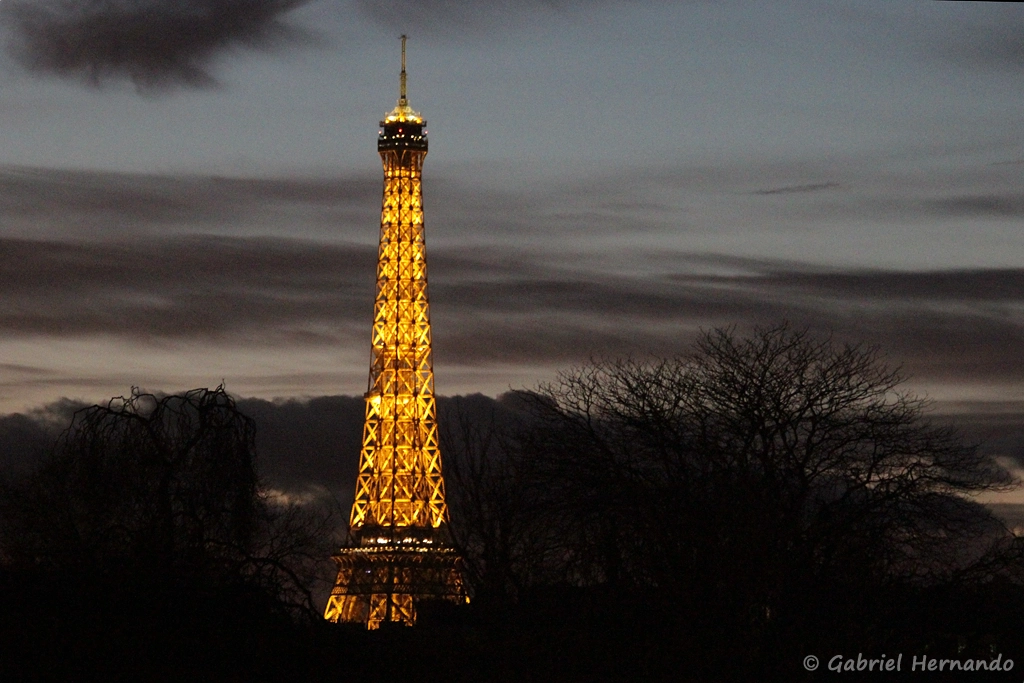 La Tour Eiffel, de nuit, depuis le jardin des Tuileries