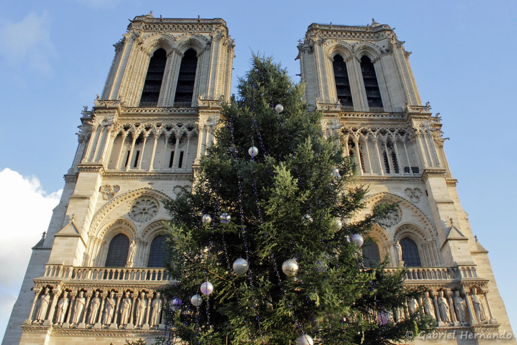 Le sapin de noël devant la façade de la cathédrale