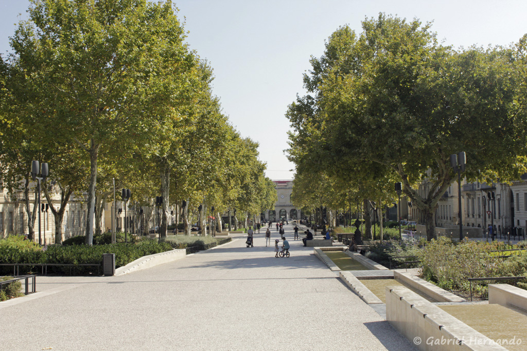Avenue Feuchère