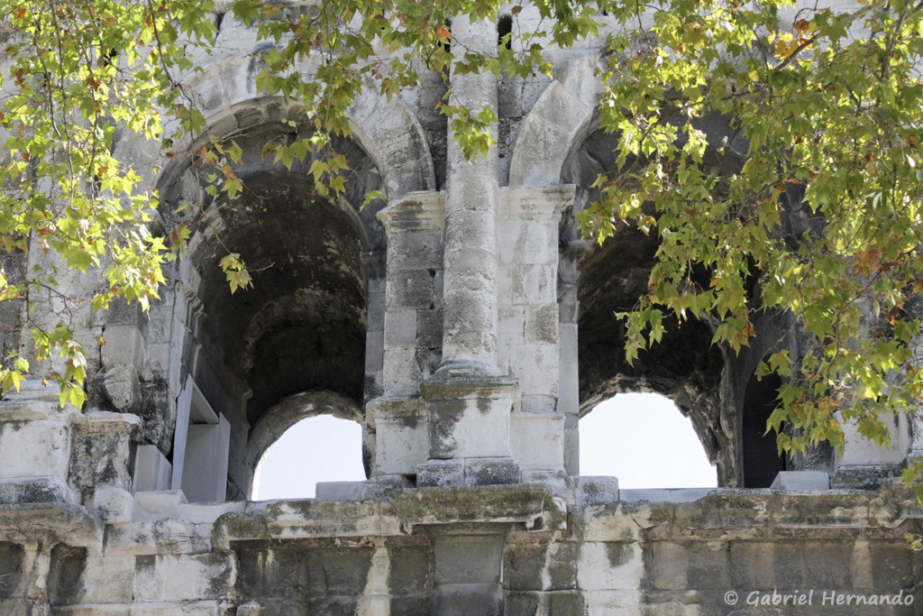 Détail verdoyant des arcades du second niveau des arène
