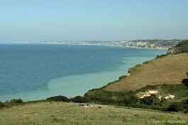 Panorama sur la Côte d'Albâtre, depuis les falaises