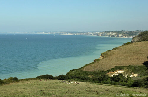 Panorama sur la Côte d'Albâtre, depuis les falaises