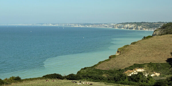 Panorama sur la Côte d'Albâtre, depuis les falaises