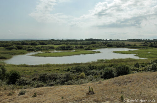 Panorama sur le Parc du Marquenterre