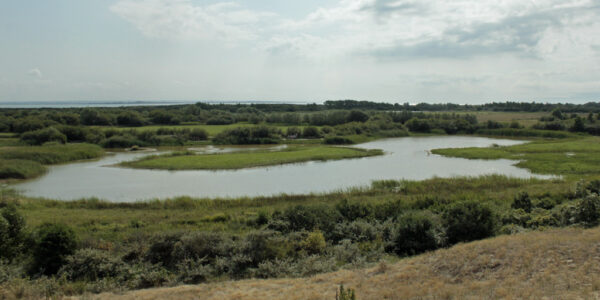 Panorama sur le Parc du Marquenterre