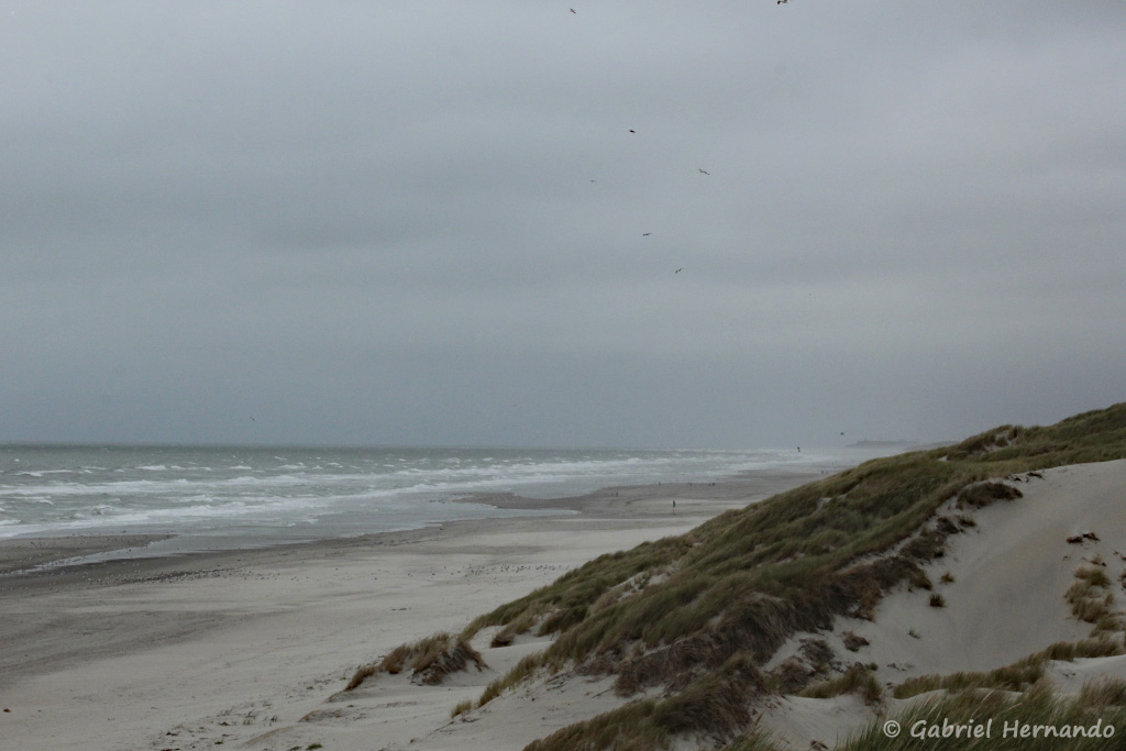 La baie de Somme