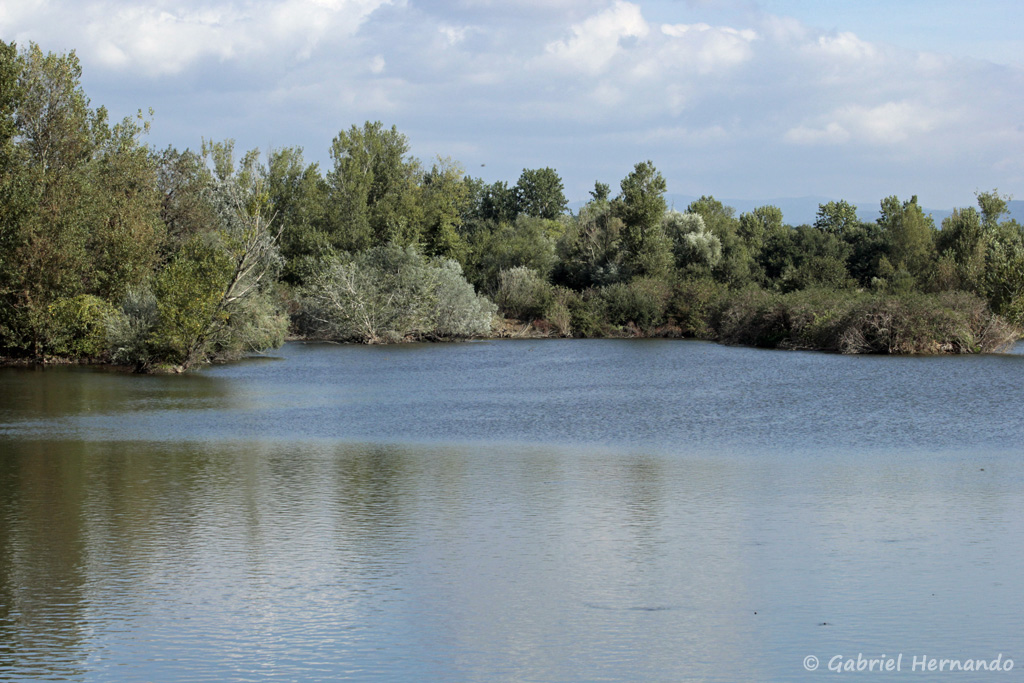 Vue sur l'un des bassins de la réserve