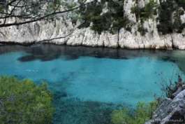 Les eaux turquoises de la calanque d'En-Vau, où se distinguent les massifs de Posidonies