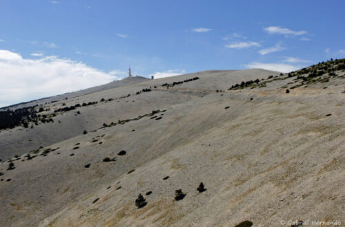 Les pentes du Ventoux