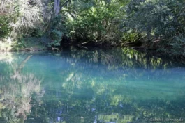 Les eaux du gouffre