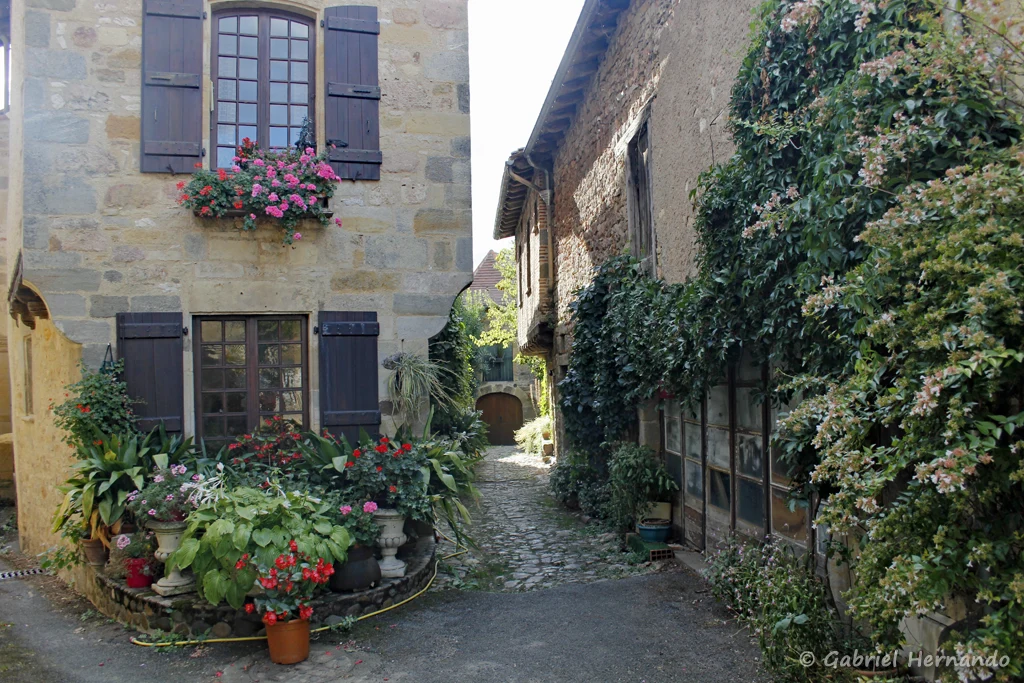 Ruelle typique, avec ses maisons de pierres agrémentées de végétaux