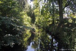 La rivière traversant le parc