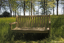 Banc dans l’arboretum du domaine