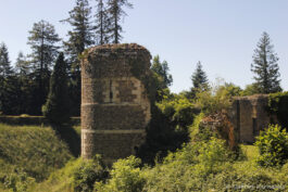 Ruines de l’enceinte protégeant la basse court