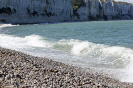 Vague