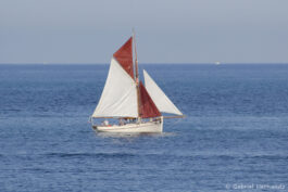 Petit voilier en mer