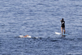 Nageur et paddle