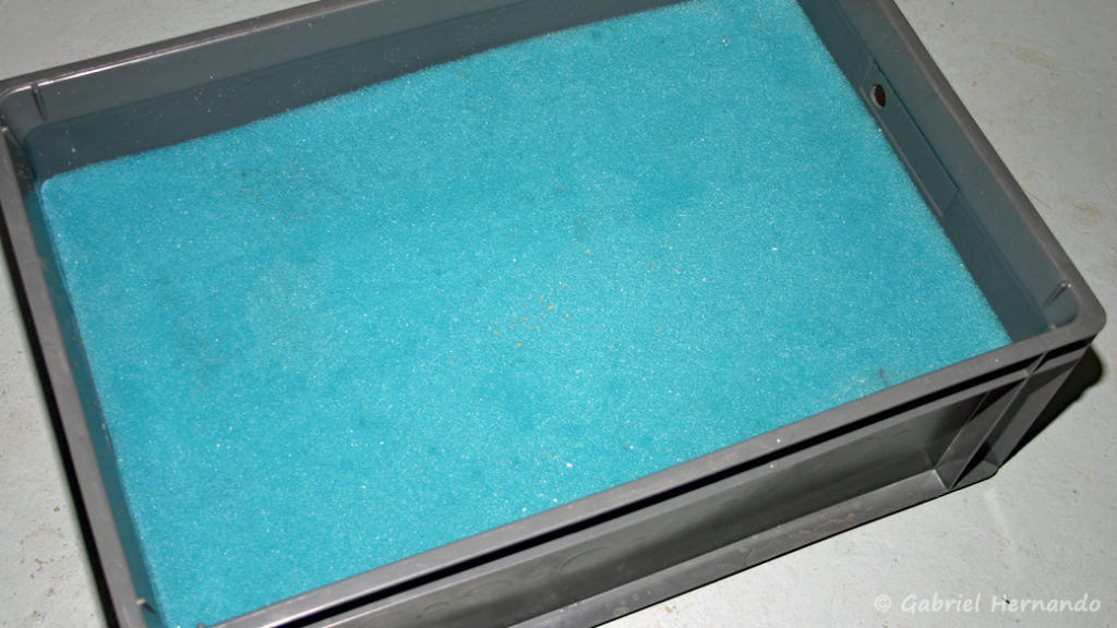 Fabrication d'une filtration en caisse plastique placée sur l'aquarium