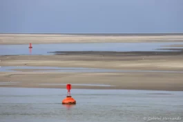 Bancs de sable dans la baie de somme, à marée basse