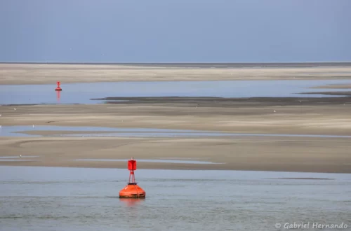 Bancs de sable dans la baie de somme, à marée basse