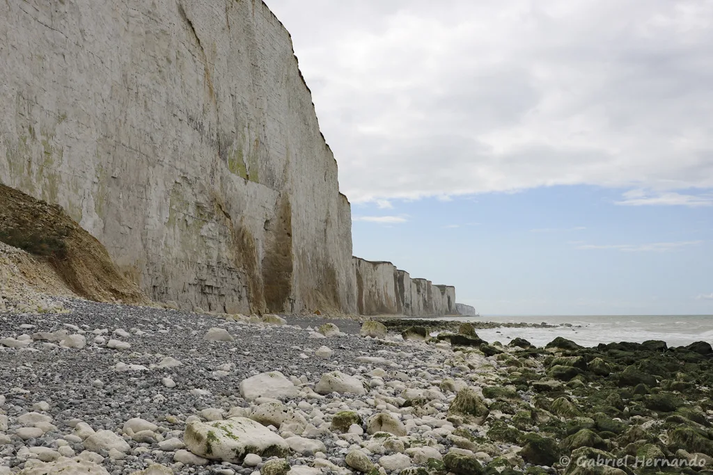 Falaises de craie, vers Mers-Les-Bains
