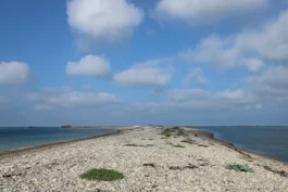 Le sillon de Talbert