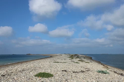 Le sillon de Talbert