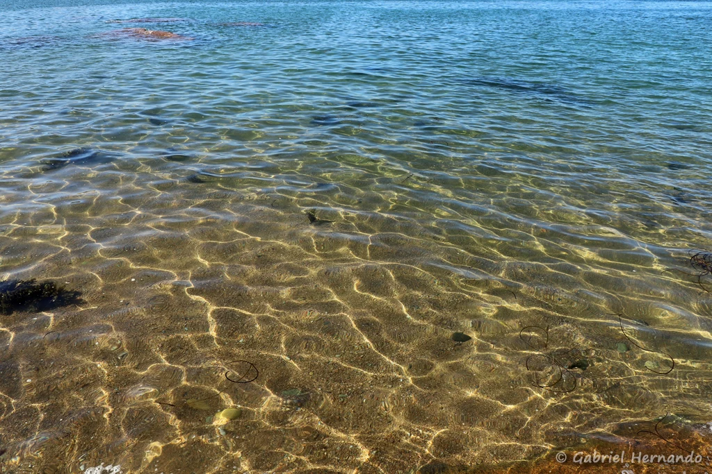Reflets dans l'eau cristalline