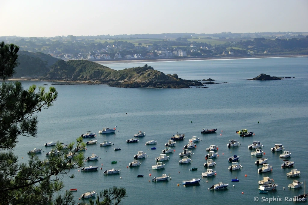 Panorama sur la Pointe de la Houssaye et la ville d'Erquy