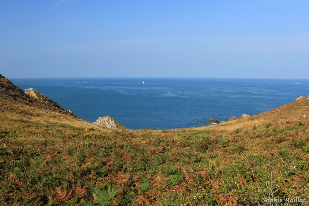 Panorama depuis les falaises du cap