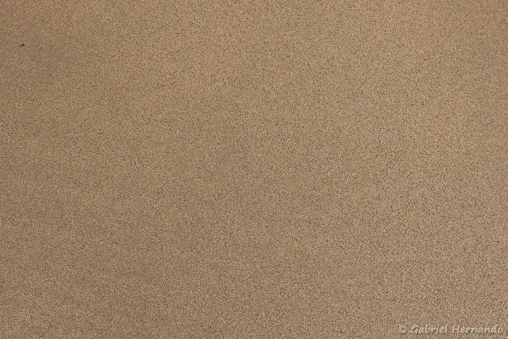 Sable fin de la plage du Lourtuais